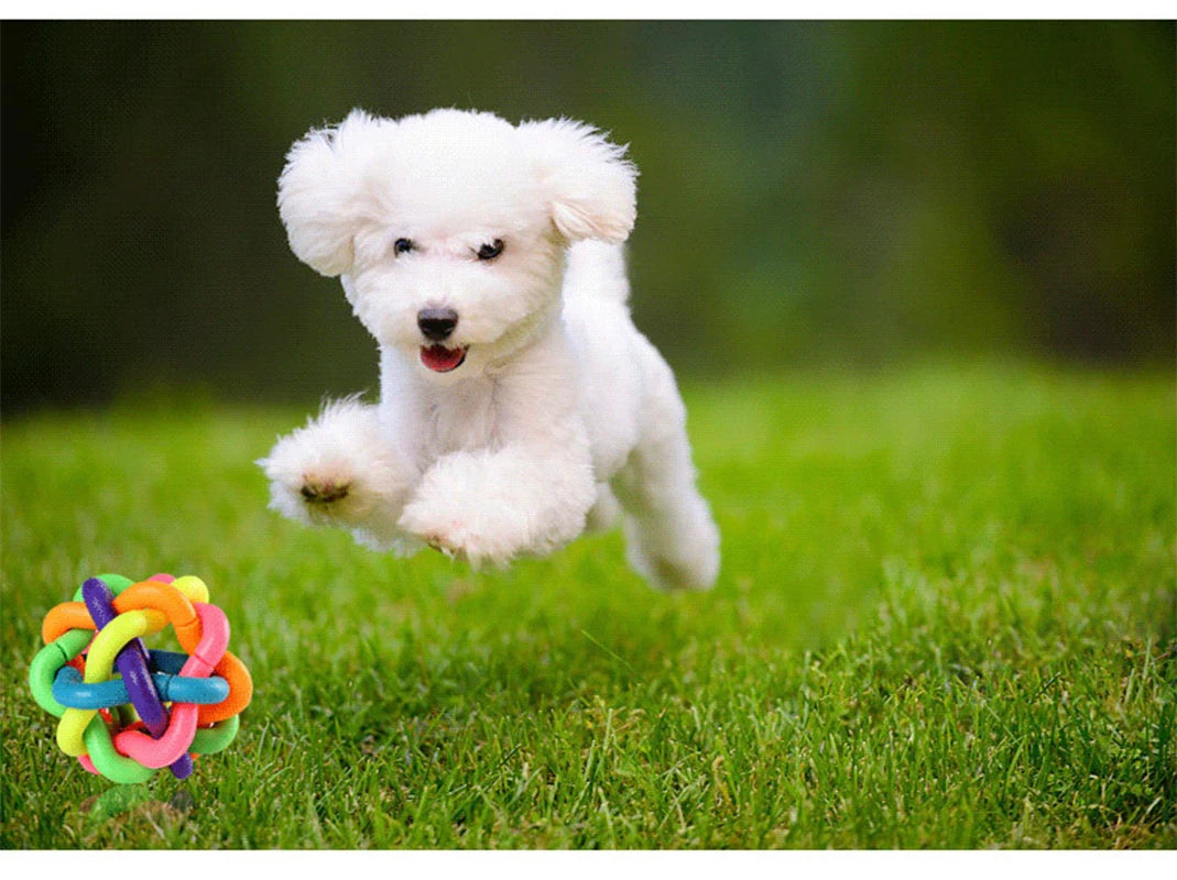 Colorful Bell Dog Ball – Bite-Resistant Rubber Fetch & Chew Toy