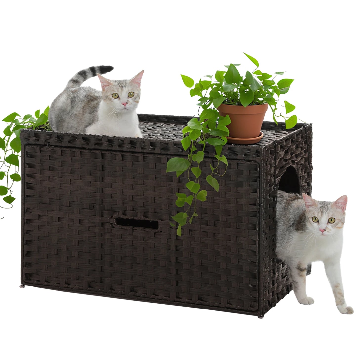 Rattan Cat Litter Box Enclosure – Hidden Cabinet Furniture with Flip-Top & Raised Entry