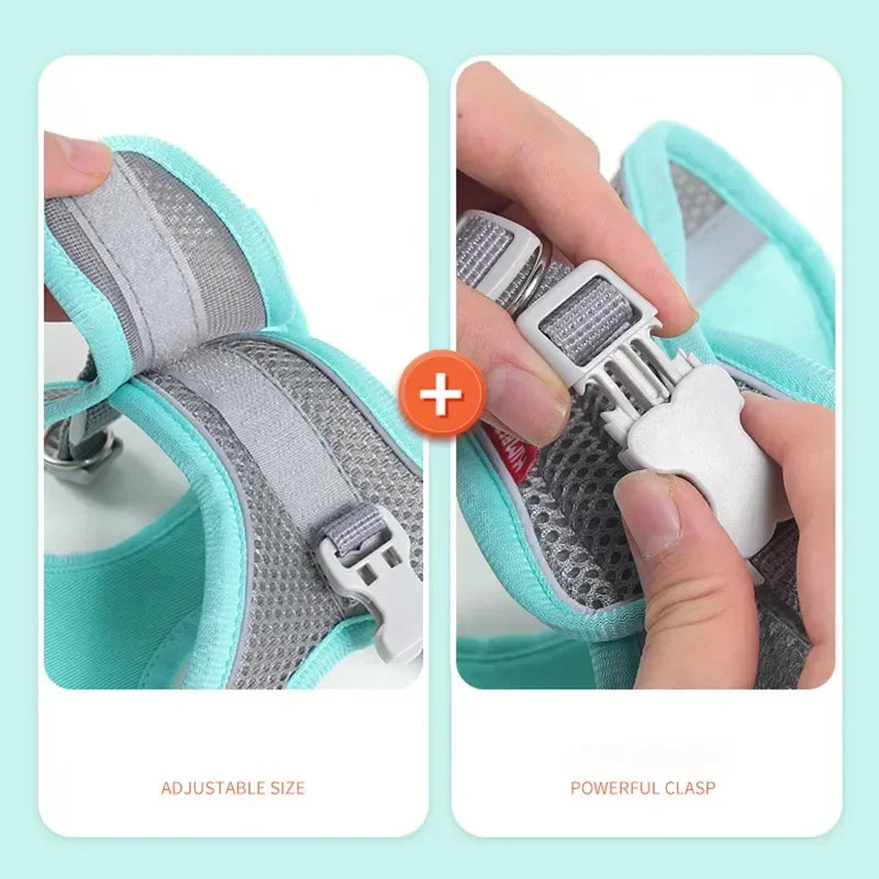 Breathable Pet Harness & Leash Set – Adjustable Safety Vest for Dogs & Cats