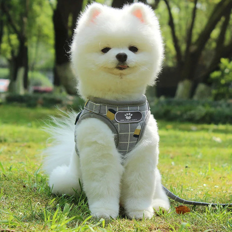 Reflective Pet Harness & Leash Set – Breathable Vest for Small Dogs & Cats