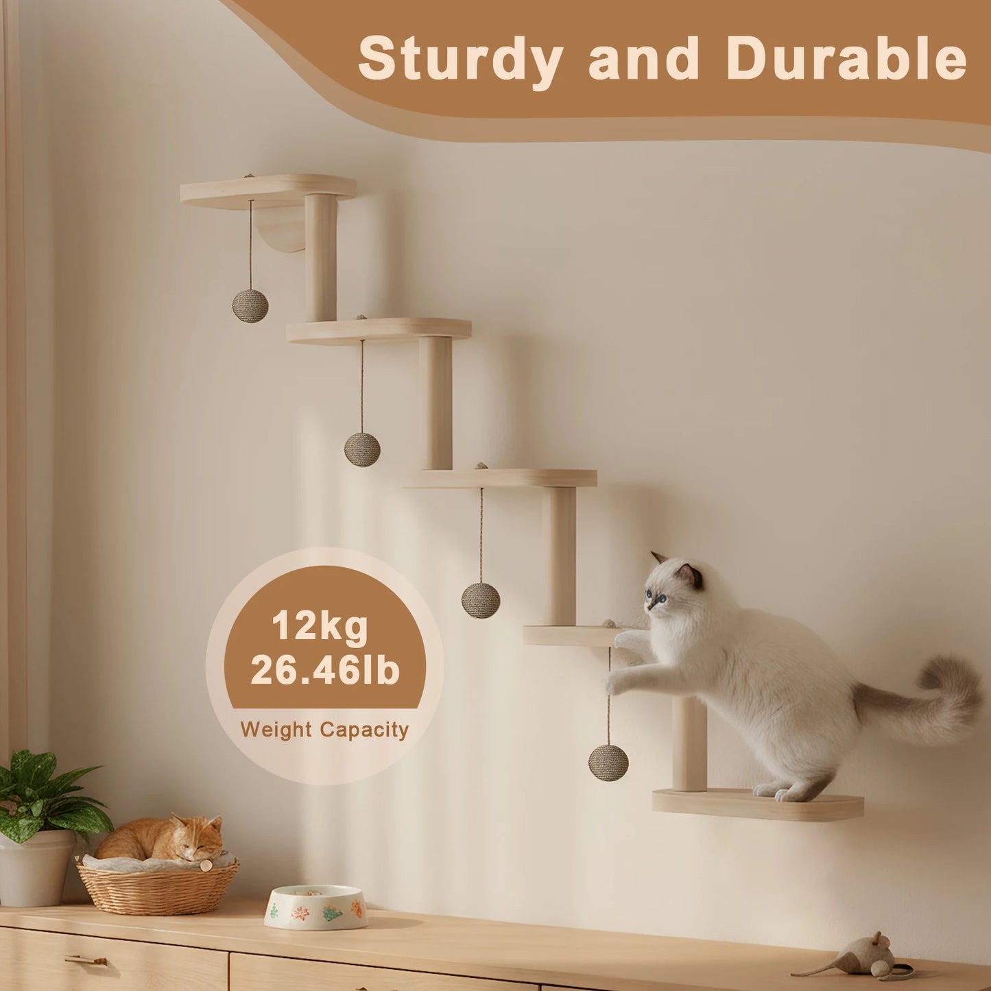 5-Step Wall Mounted Wooden Cat Climbing Shelf & Ladder
