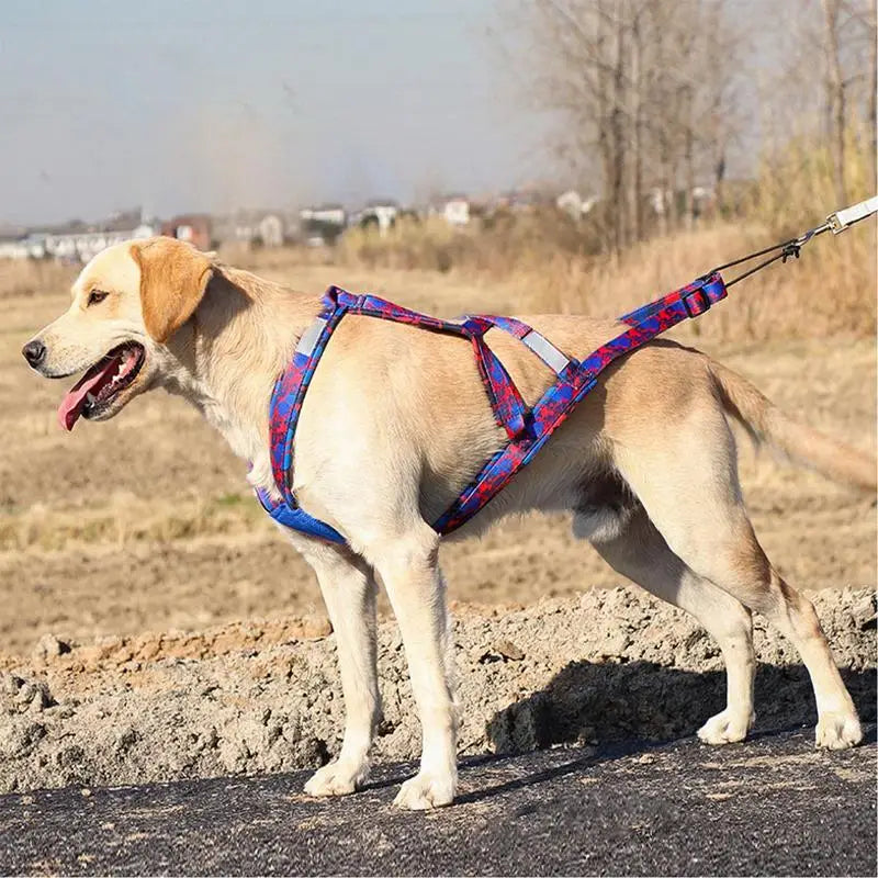 Dog Running Harness No-Pull Sport Training Bikejoring Skijoring Sled Harness