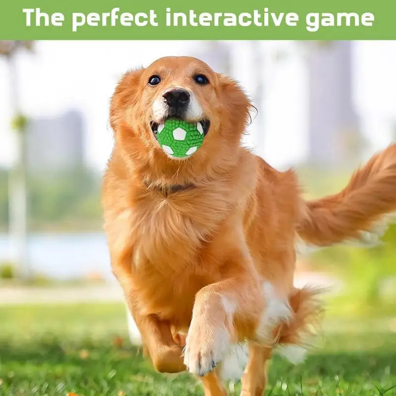 Interactive Dog Ball Toy – Tough Bouncy Chew Ball for Puppies