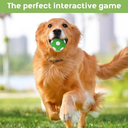 Interactive Dog Ball Toy – Tough Bouncy Chew Ball for Puppies