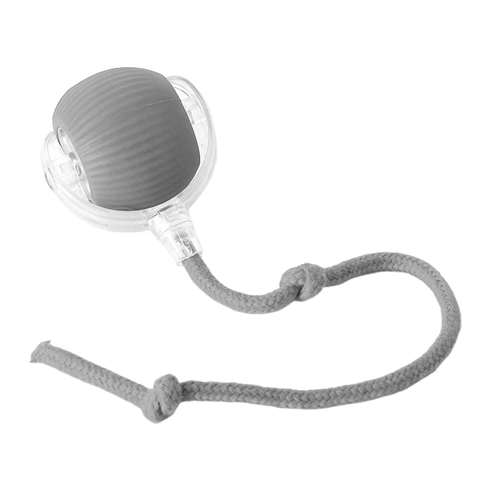 Interactive Rolling Cat Ball – Rechargeable Automatic Toy for Indoor Cats