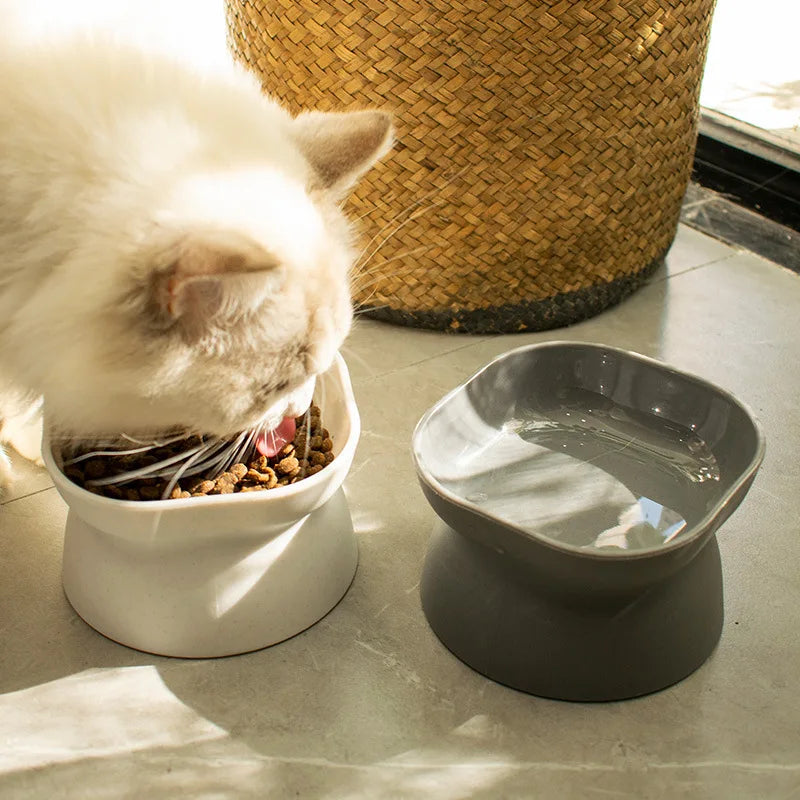 Elevated Ceramic Pet Bowl – High Foot Feeder for Cats & Small Dogs
