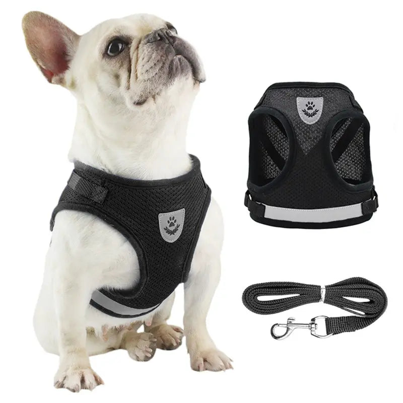 Reflective Dog Harness & Leash Set – Breathable Adjustable Vest for Easy Control