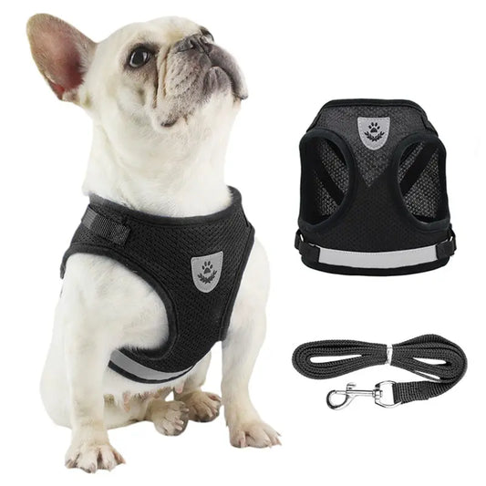 Reflective Dog Harness & Leash Set – Breathable Adjustable Vest for Easy Control