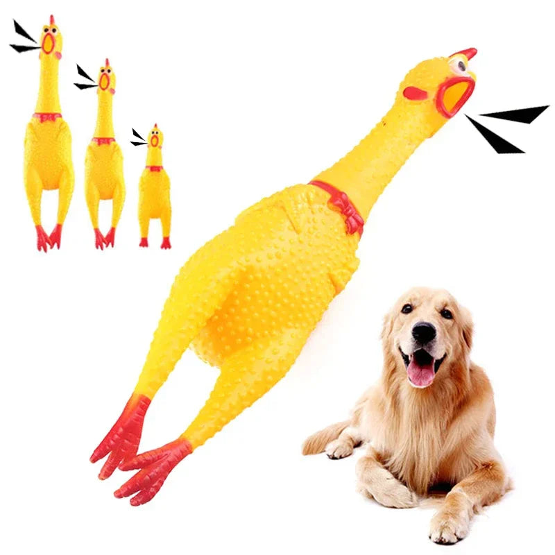 Screaming Chicken Dog Chew Toy – Squeaky Rubber Interactive Toy for Aggressive Chewers
