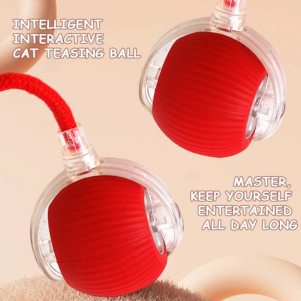 Interactive Rolling Cat Ball – Rechargeable Automatic Toy for Indoor Cats