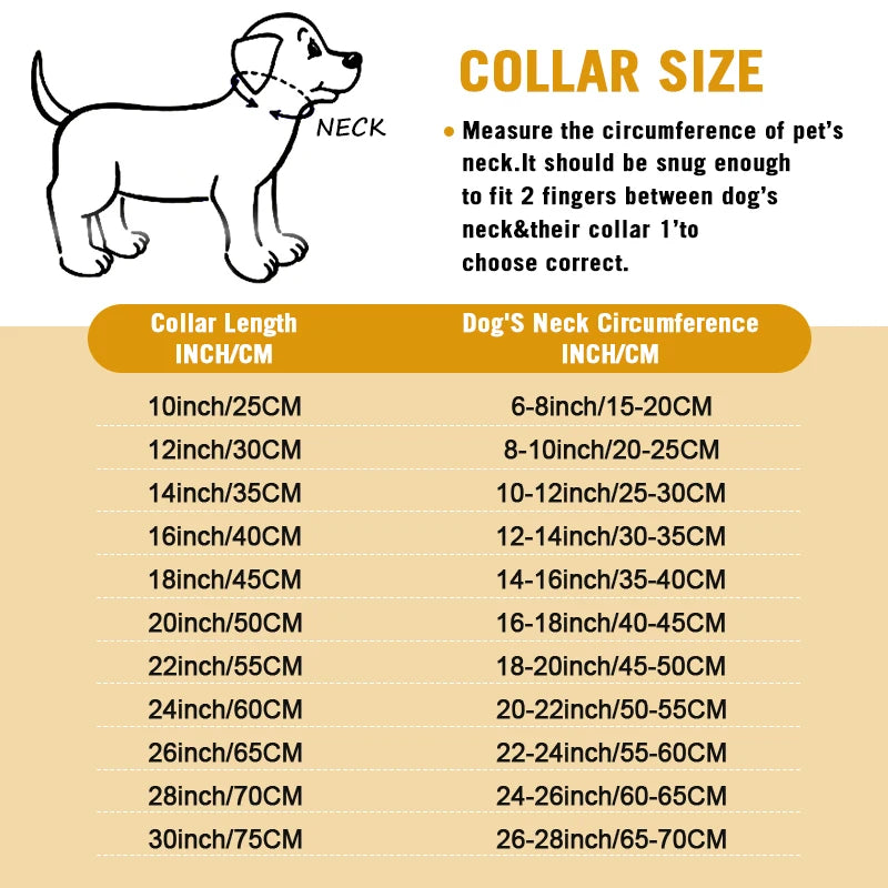 Gold Stainless Steel Cuban Link Dog Chain Collar – Heavy Duty Training & Walking Collar