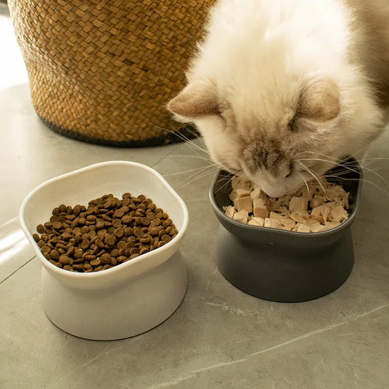 Elevated Ceramic Pet Bowl – High Foot Feeder for Cats & Small Dogs