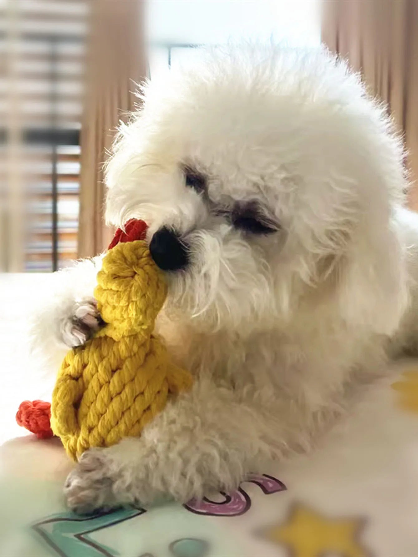 Cotton Rope Knot Dog Toy – Durable Teeth Cleaning Toy for Small & Medium Dogs