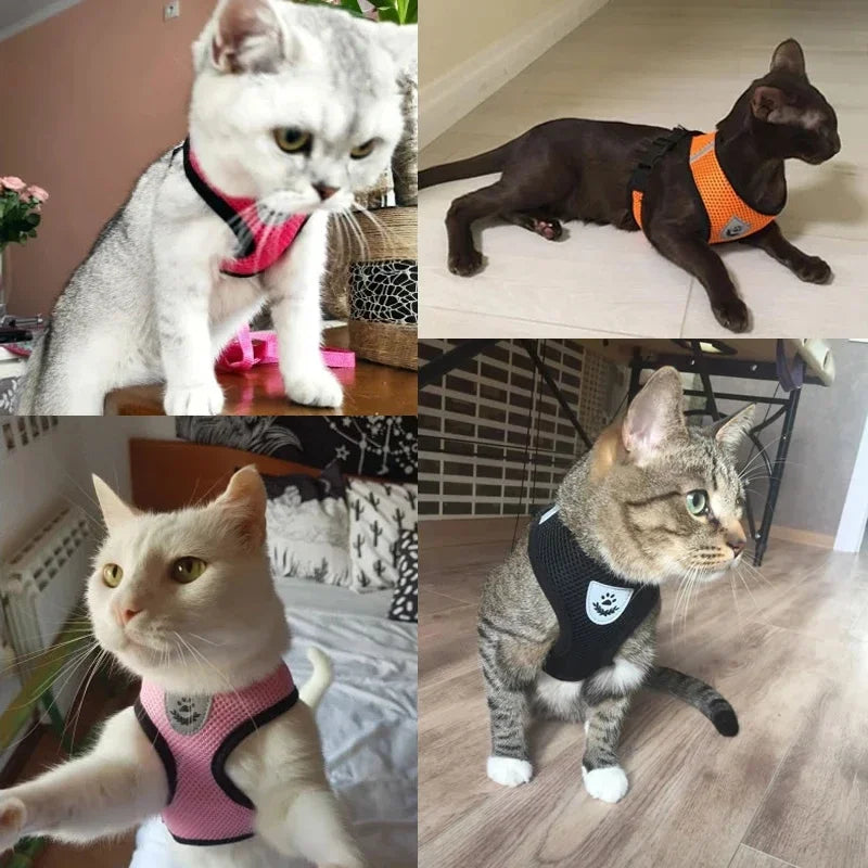 Adjustable Mesh Pet Harness & Leash – Breathable Walking Vest for Small & Medium Pets