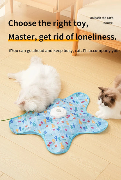 Interactive Hide & Seek Cat Toy with Motion Mouse & Feathers