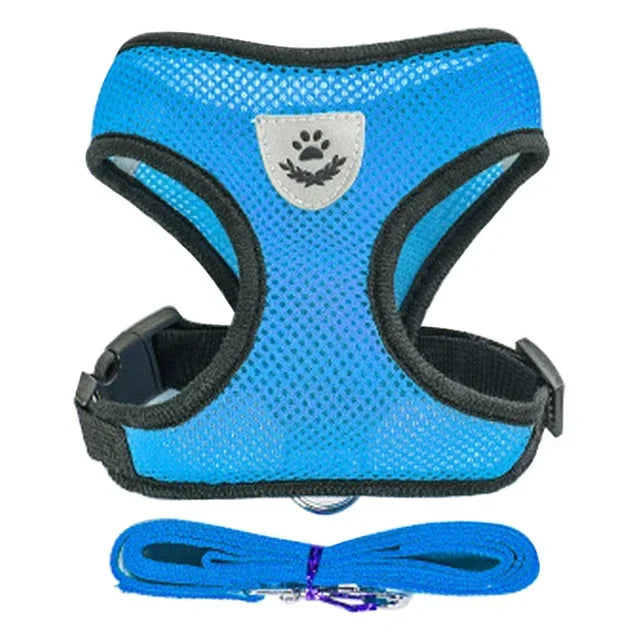 Adjustable Mesh Pet Harness & Leash – Breathable Walking Vest for Small & Medium Pets