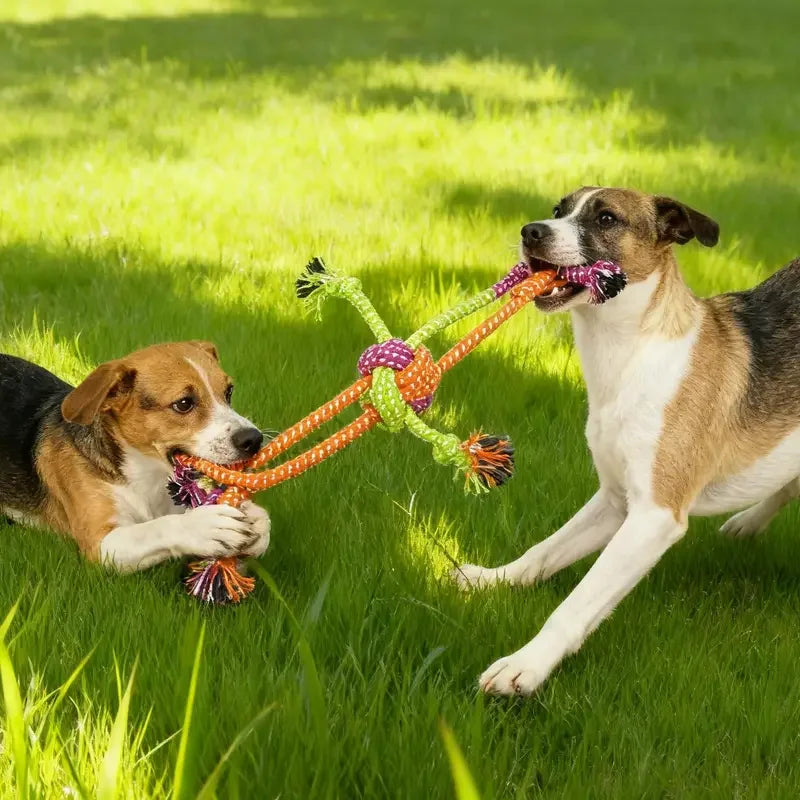 Durable Dog Rope Toy – Interactive Teeth Cleaning Chew Toy for Dogs & Puppies