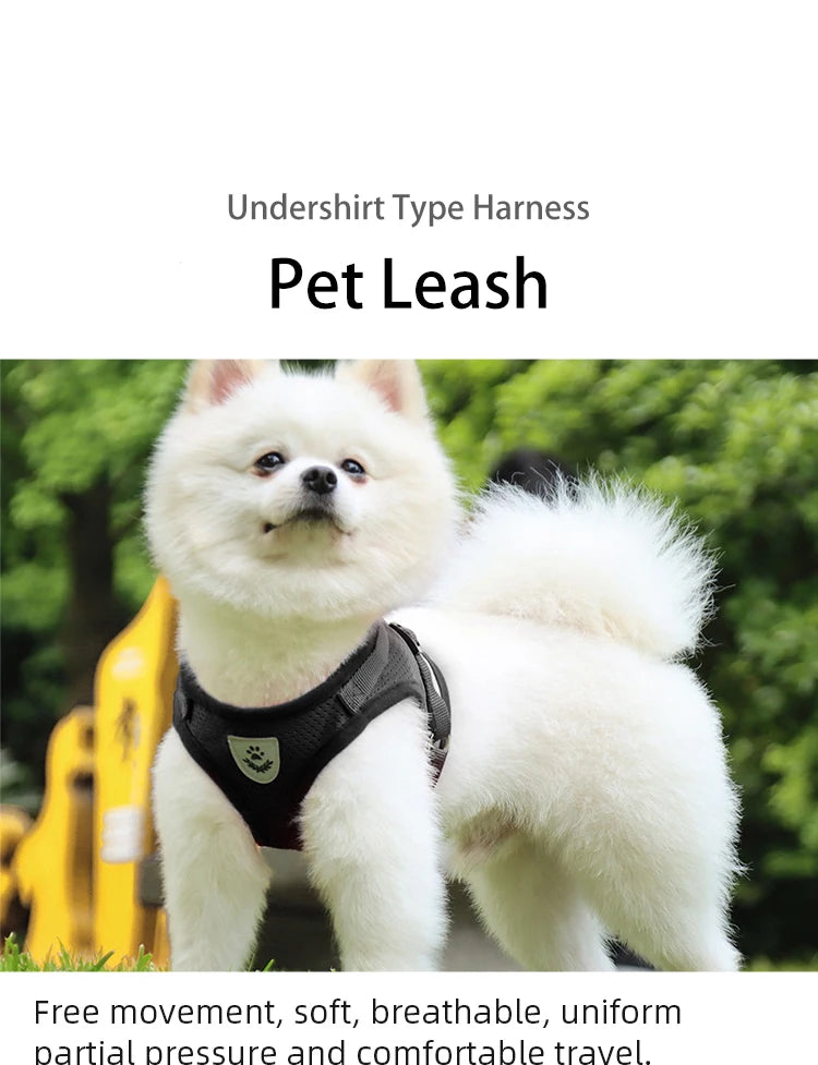 Reflective Dog Harness & Leash Set – Breathable Adjustable Vest for Easy Control