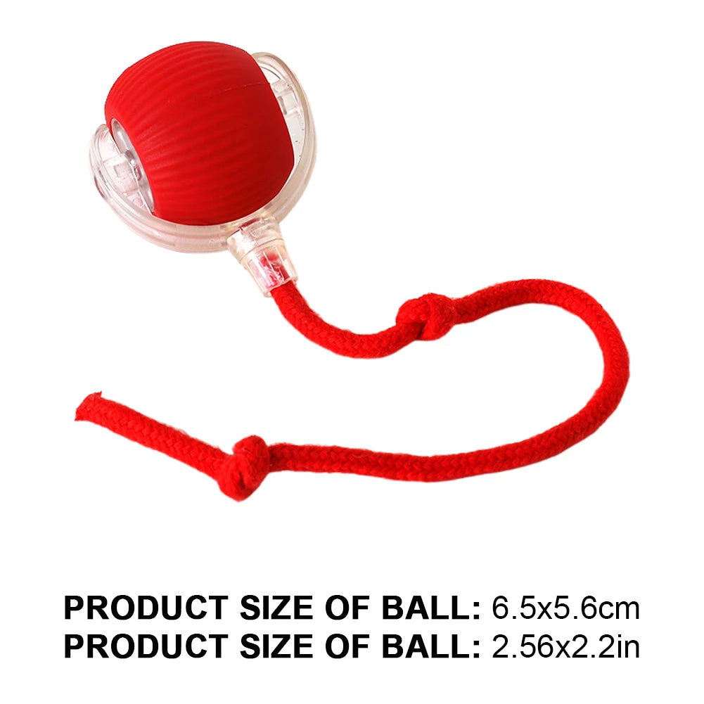 Interactive Rolling Cat Ball – Rechargeable Automatic Toy for Indoor Cats
