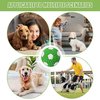 Interactive Dog Ball Toy – Tough Bouncy Chew Ball for Puppies