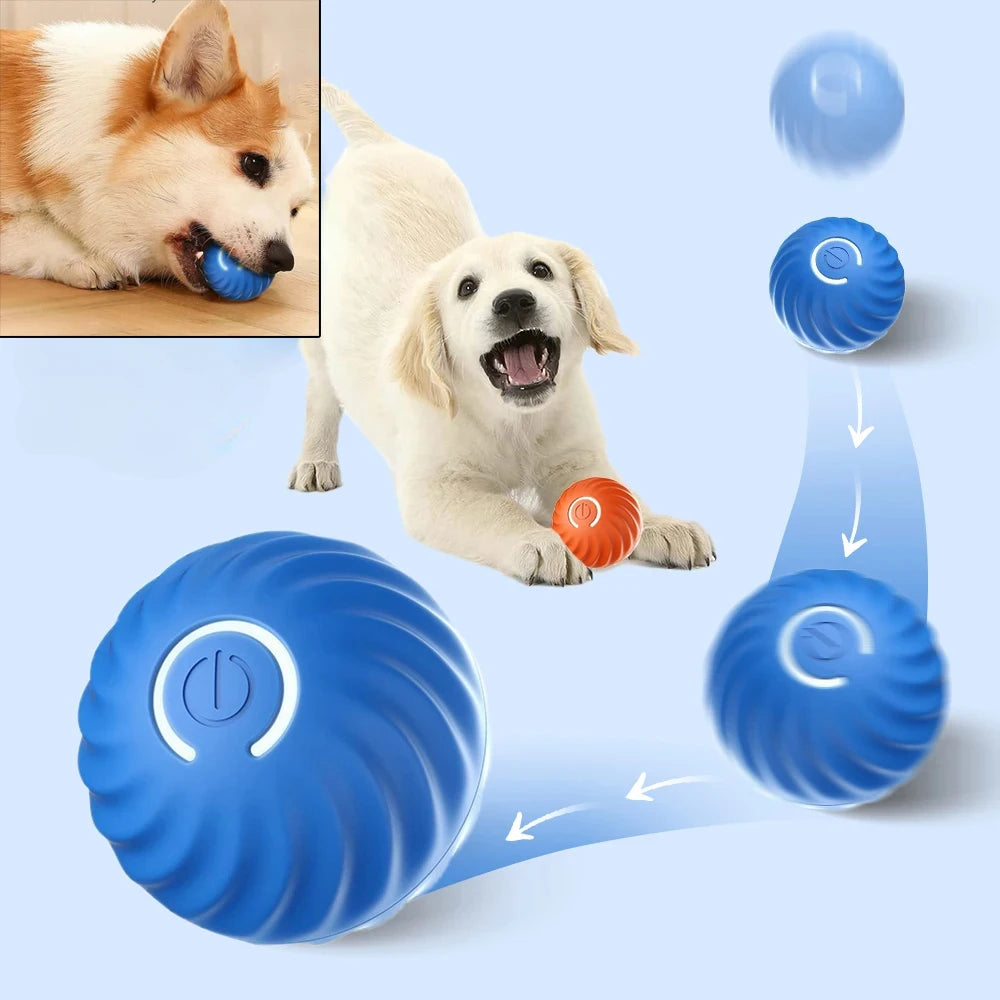Smart Interactive Dog Ball – Automatic Rolling & Bouncing USB Toy