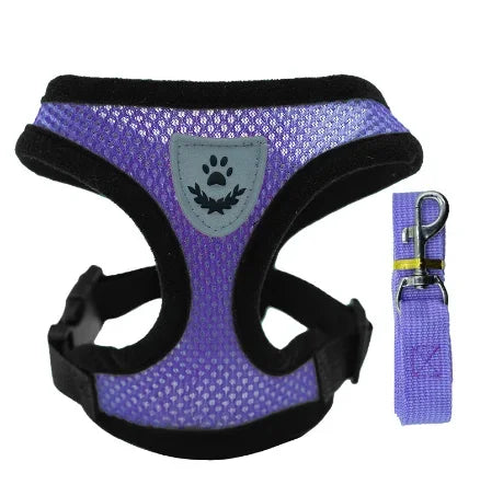 Adjustable Mesh Pet Harness & Leash – Breathable Walking Vest for Small & Medium Pets