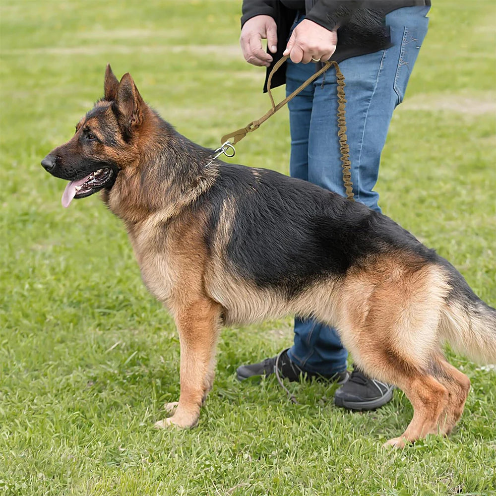 Adjustable Tactical Dog Leash – Elastic Training Lead with Dual Control Handles