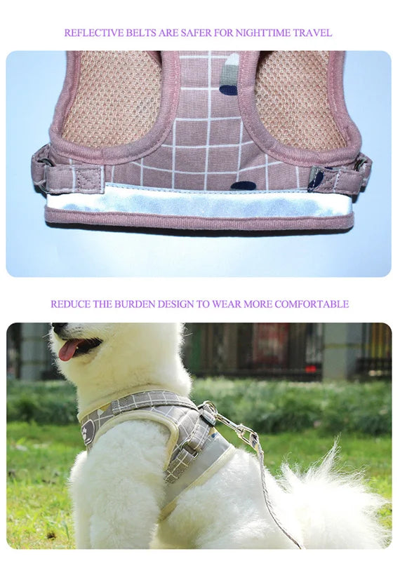 Reflective Pet Harness & Leash Set – Breathable Vest for Small Dogs & Cats