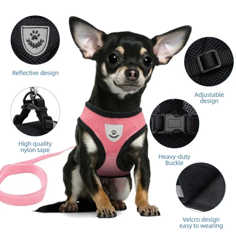 Adjustable Mesh Pet Harness & Leash – Breathable Walking Vest for Small & Medium Pets