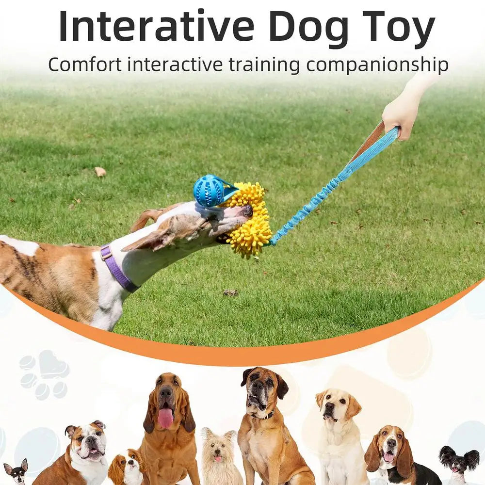 Interactive Squeaky Rope Dog Toy for Chewing & Teething Puppies