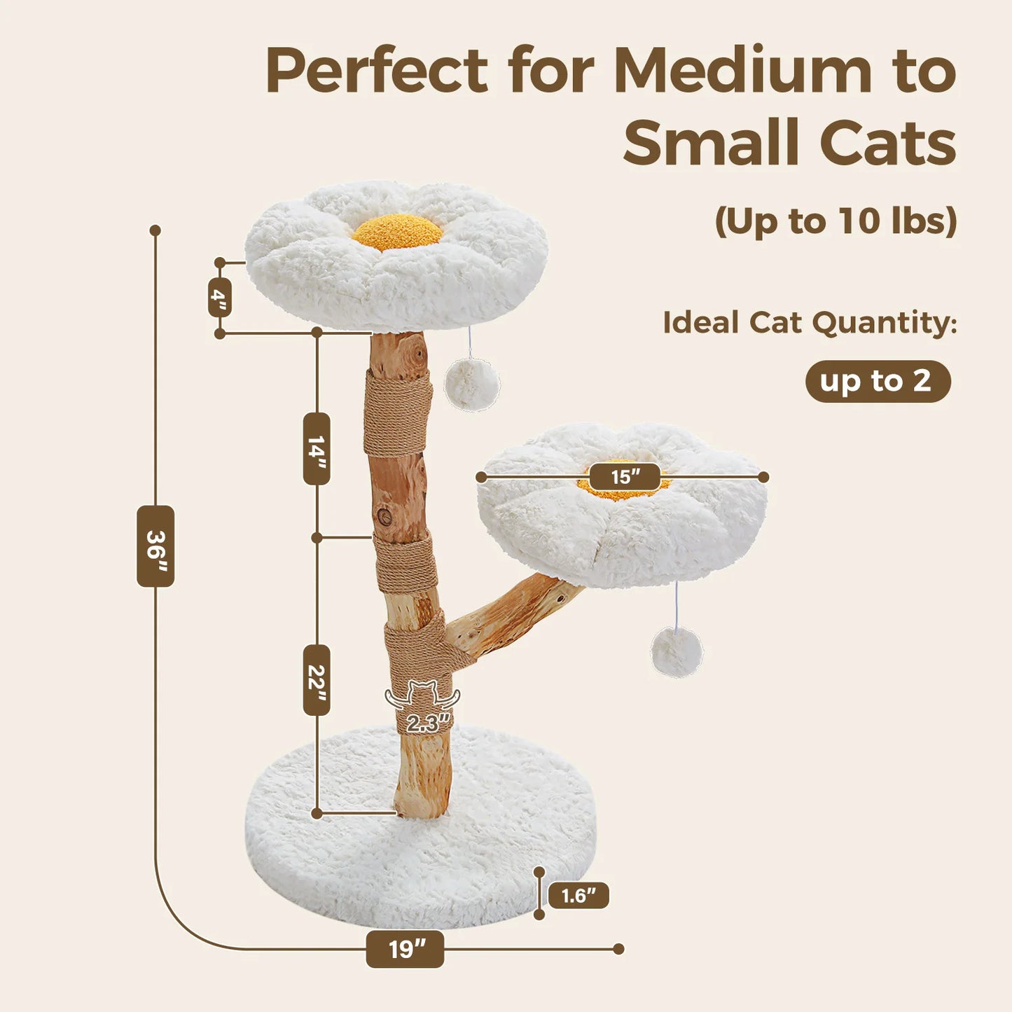 Modern Solid Wood Cat Tree – Spacious Tower with Condo, Perches & Interactive Toys