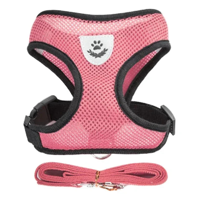 Adjustable Mesh Pet Harness & Leash – Breathable Walking Vest for Small & Medium Pets