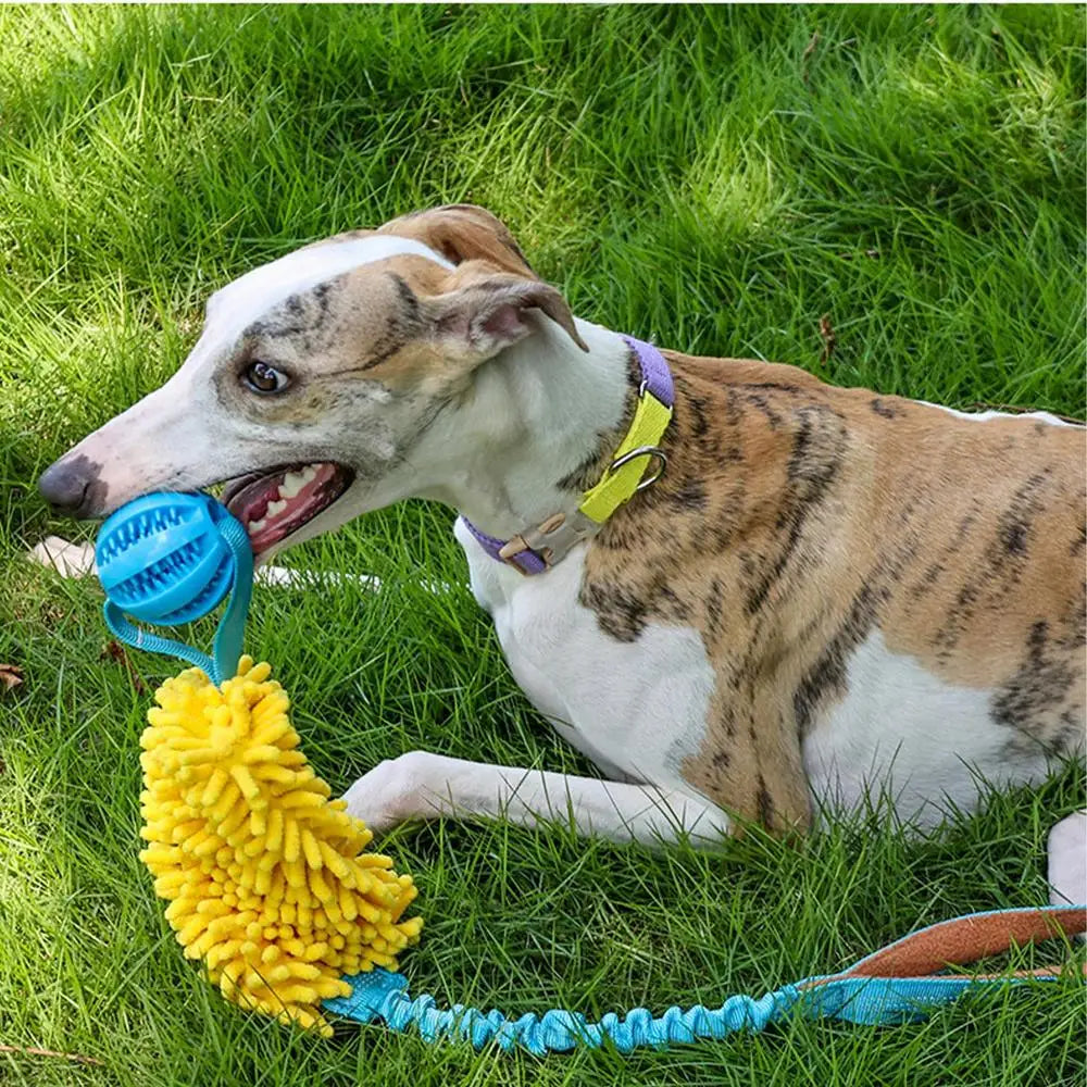 Interactive Squeaky Rope Dog Toy for Chewing & Teething Puppies