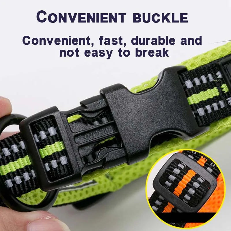 Padded Tactical Dog Collar – Adjustable Nylon Walking Collar for All Sizes