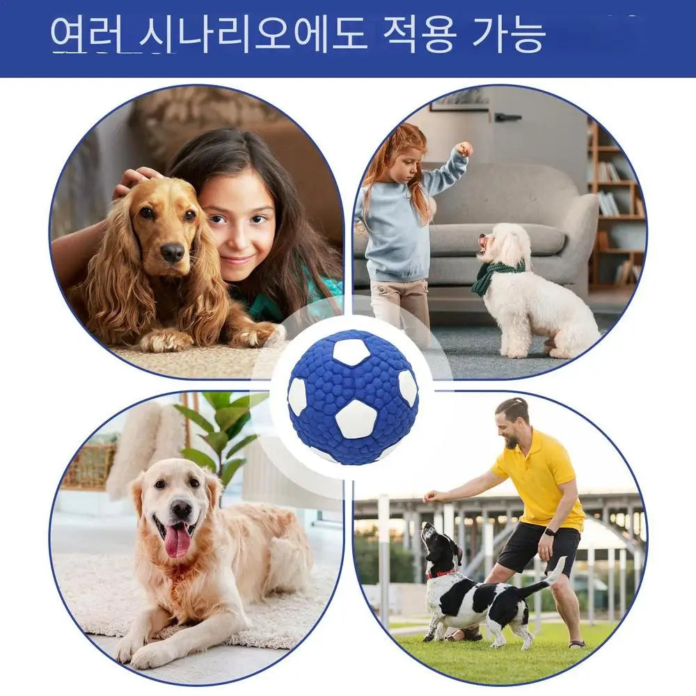 Interactive Dog Ball Toy – Tough Bouncy Chew Ball for Puppies