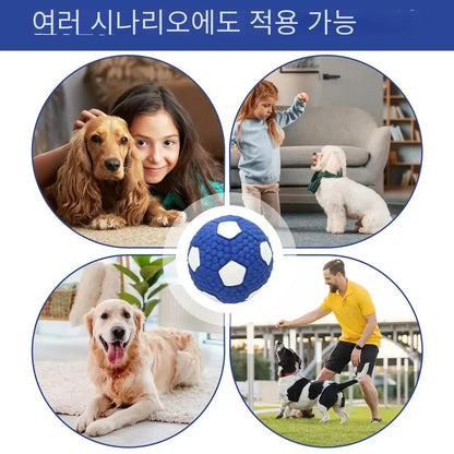 Interactive Dog Ball Toy – Tough Bouncy Chew Ball for Puppies