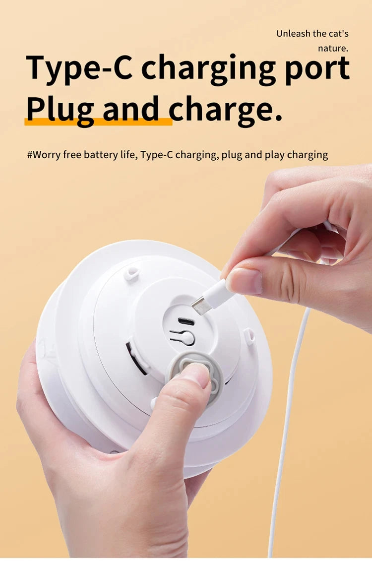 Interactive Hide & Seek Cat Toy with Motion Mouse & Feathers