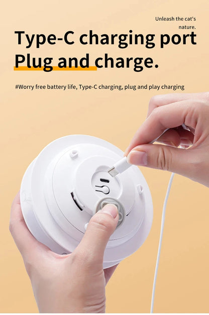 Interactive Hide & Seek Cat Toy with Motion Mouse & Feathers