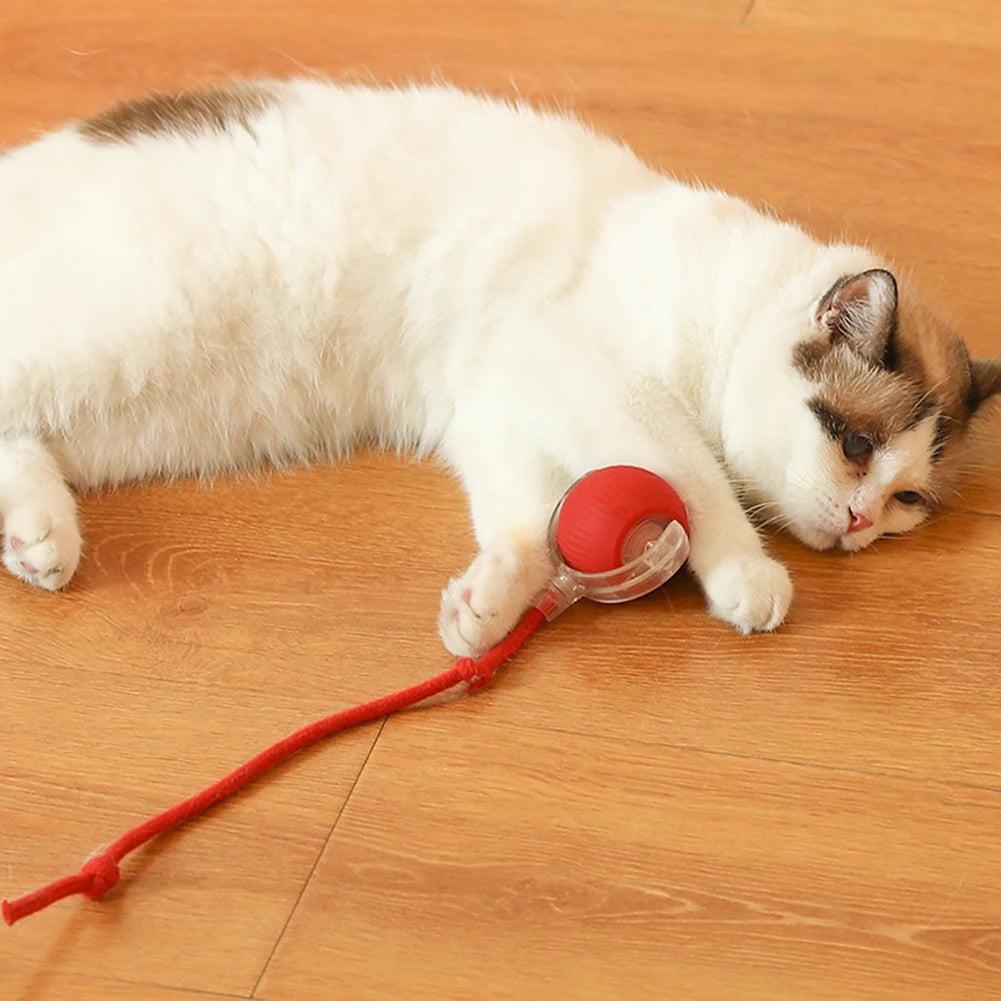 Interactive Rolling Cat Ball – Rechargeable Automatic Toy for Indoor Cats
