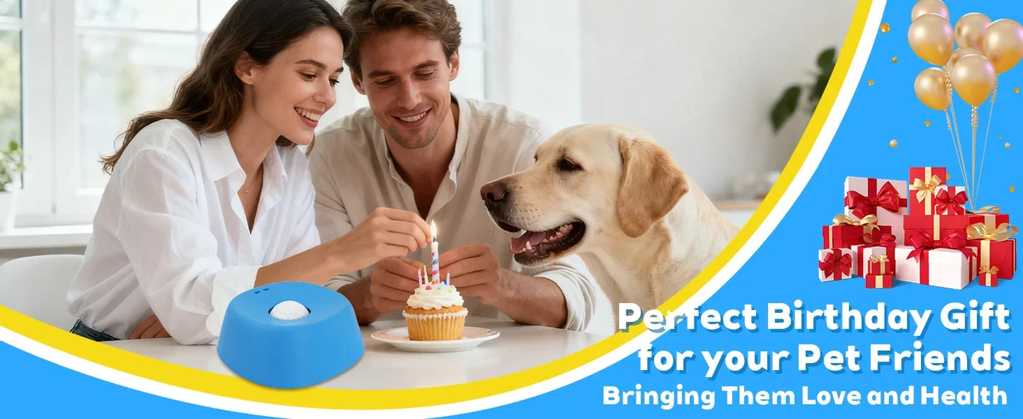 Anti-Choking Slow Feeder Dog Bowl – Non-Slip Lick Bowl for Treats, Broth & Yogurt