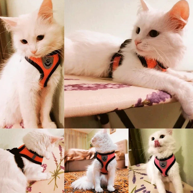 Adjustable Mesh Pet Harness & Leash – Breathable Walking Vest for Small & Medium Pets