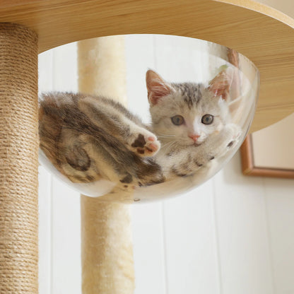 Multi-Level Cat Tree with Condo, Hammock & Scratching Posts
