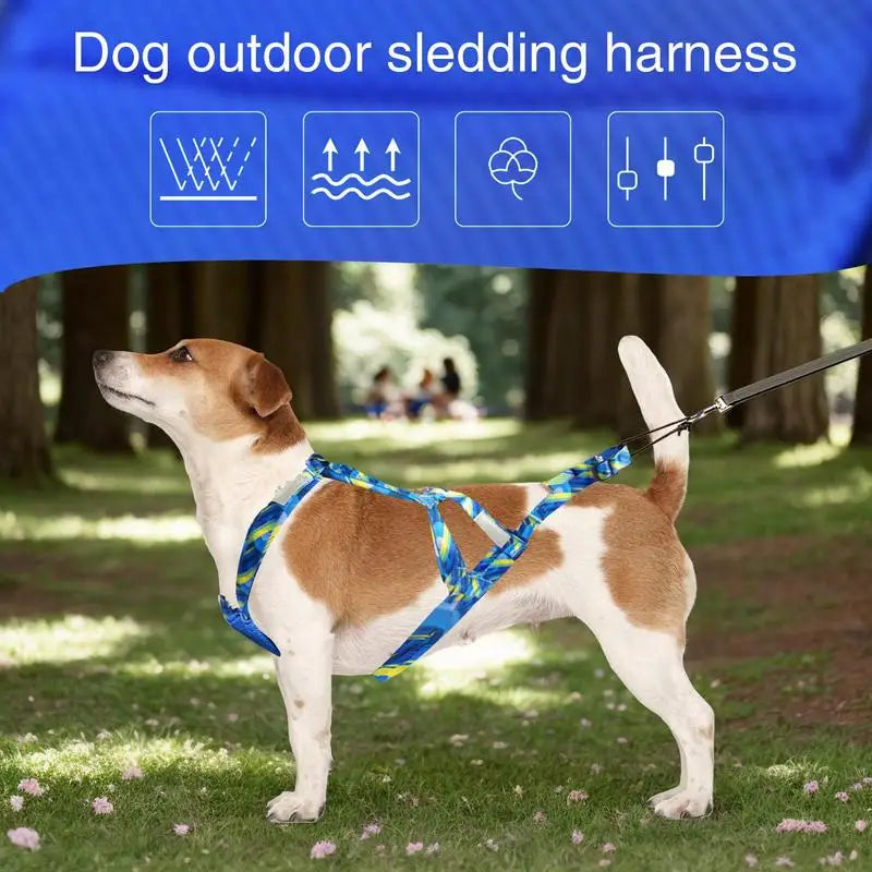 Dog Running Harness No-Pull Sport Training Bikejoring Skijoring Sled Harness