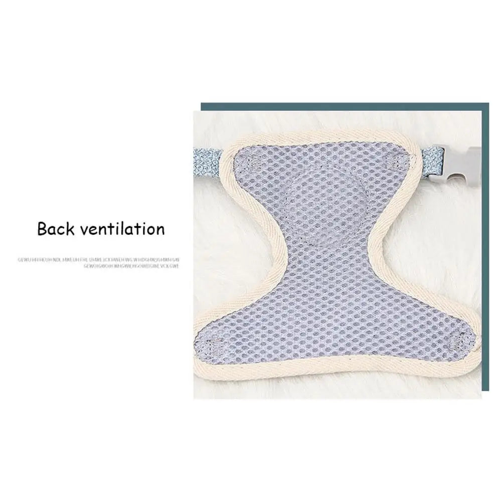 Breathable Pet Harness & Leash Set – Adjustable Vest for Small Dogs & Cats