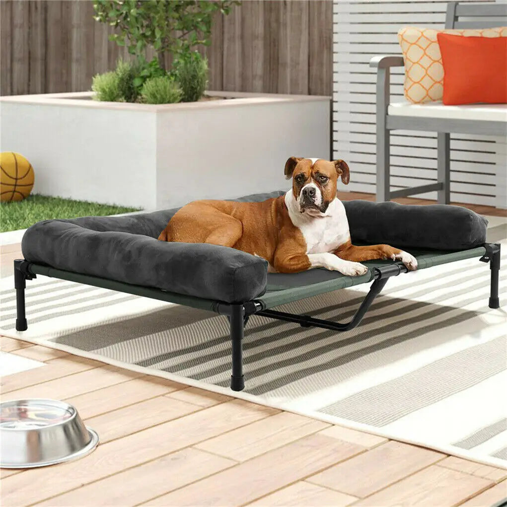 Elevated Dog Bed with Cooling Mesh & Plush Bolster Cushion