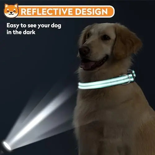 Reflective Dog Collar – Adjustable Soft Collar for Medium Dogs