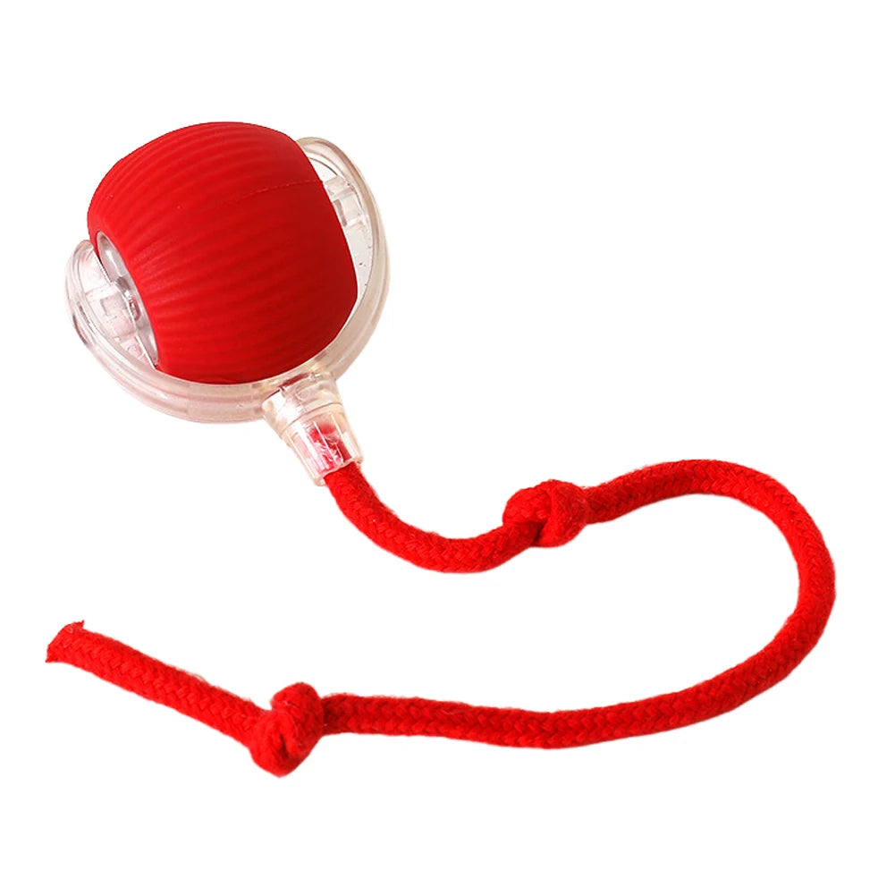 Interactive Rolling Cat Ball – Rechargeable Automatic Toy for Indoor Cats