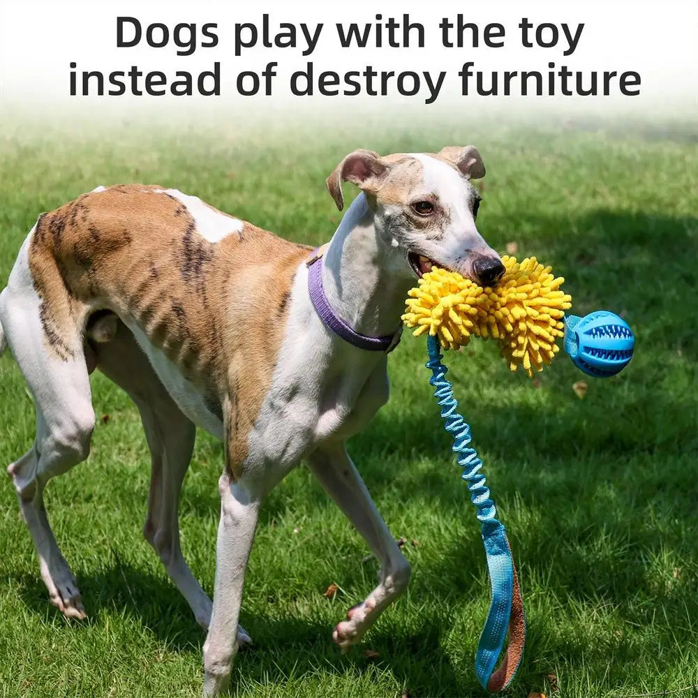Interactive Squeaky Rope Dog Toy for Chewing & Teething Puppies