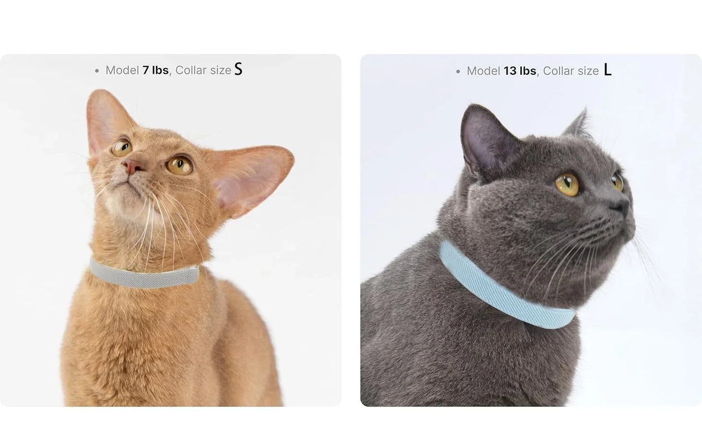 Elastic Safety Pet Collar – Adjustable Lightweight Collar for Cats & Small Dogs