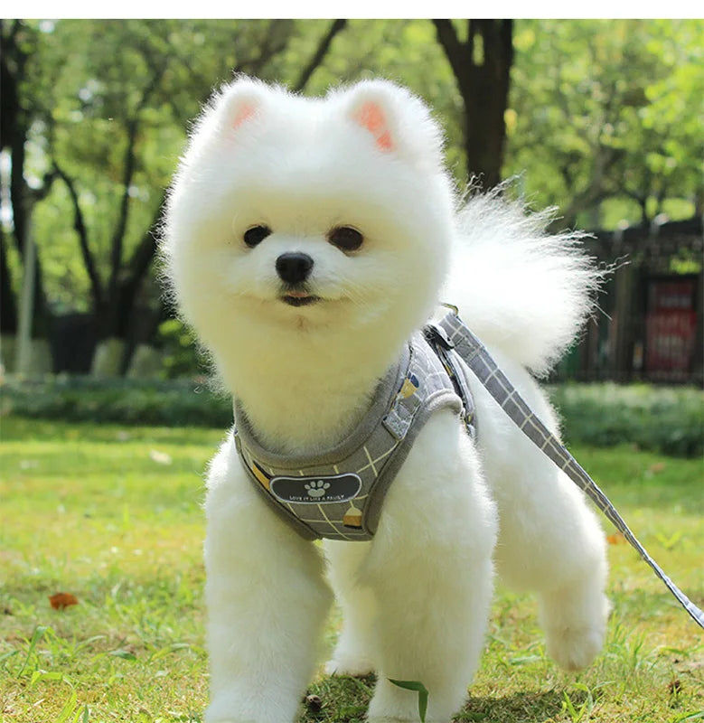 Reflective Pet Harness & Leash Set – Breathable Vest for Small Dogs & Cats